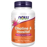 Now Foods Holin & Inozitol NOW, 500 mg (100 kapsul) Cene