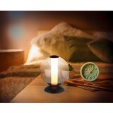 Globo namizna led-svetilka lacy 18/21 cm | Shoptok.si