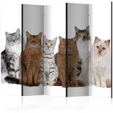  Paravan u 5 dijelova - Sweet Cats II [Room Dividers] 225x172 | shoptok.hr