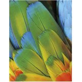 Boja tempera za tekstil 125ml cmp.410tx125100 bijela | Shoptok.si