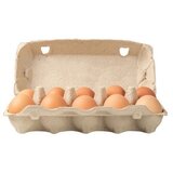  Jaja klasa S AGRO ĐOLE 10kom Cene