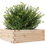  Vrtno cvetlično korito 70x70x23 cm trdna borovina | Shoptok.si