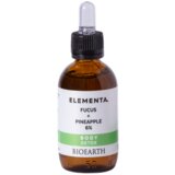 Bioearth elementa body detox alge + ananas 6% Cene