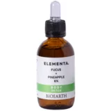 Bioearth elementa body detox fucus alge + ananas 6%