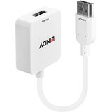 Lindy HDMI 1.4 to DisplayPort 1.1 Converter Cijene