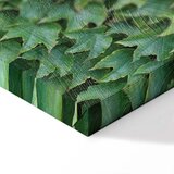  Slika - Thick Ivy (1 Part) Vertical 20x30 | shoptok.hr