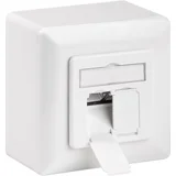 Mrežna utičnica RJ45 CAT5e 50943