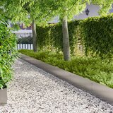  Ograda oko Travnjaka 20 pcs 100 x 30 cm Čelik Srebrna | Eponuda.ba