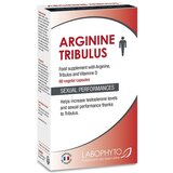 Penthouse Labofito Arginine Trbulo prehransko dopolnilo 60 kap, (21403004) Cene