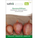 BIO senema čebule "Ramata di Milano" - 1 pkt. | Shoptok.si
