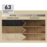 ALFAPARF MILANO Il Salone Milano Plex Rebuilder trajna boja za kosu nijansa 6.3 - Dark Golden Brown 1 kom | shoptok.hr