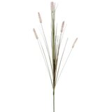  Umjetna biljka Cynosurus cristatus (Visina: 84 cm, Plastika) | shoptok.hr