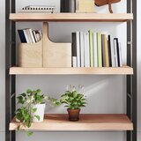 vidaXL Zidna polica 80x40x(2-6) cm neobrađena masivna hrastovina | shoptok.hr