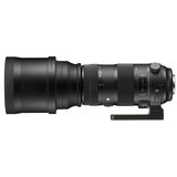 Sigma 150-600mm f/5-6.3 DG OS HSM Sports Lens za Sony | Eponuda.ba