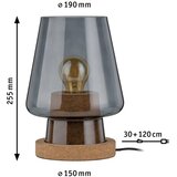PAULMANN 79736 - 1xE27/20W Stona lampa IBEN 230V dimljena | Eponuda.com