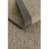 Conceptum Hypnose boston M208 - dark beige, beige dark beigebeige carpet (80 x 400) | Eponuda.com
