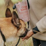 Buddy_Pet_Foods Buddy Crispy Salmon hrskave poslastice za pse, losos i borovnica | Eponuda.com