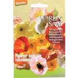 ReinSaat Iceland poppy ''Papaver nudicale'' Cene