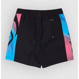 Quiksilver Everyday Holmes Volley 16 Kids Boardshorts black holmes | Shoptok.si