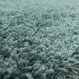 Lesnina-XXXL preproga z visokim florom sydney 3000 hellblau tkano svetlo modra | Shoptok.si
