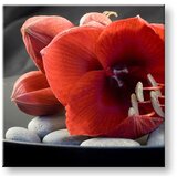  Slike na platnu feng shui (moderne slike na platnu) | ePonuda.com