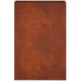  Vrtna saksija Rđa 40 x 20 x 75 cm Otporni čelik | shoptok.hr