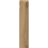  Kopalna stenska omarica s polico Oreh 20 x 10 x 50 cm, (5000233023) | Shoptok.si
