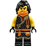 Lego Ninjago njo894 Cole - Dragons Rising, Tournament Armor | Eponuda.com
