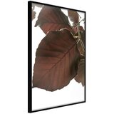  Poster - Burgundy Tilia Leaf 20x30 | shoptok.hr