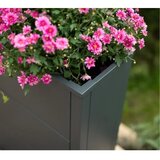 WESTMANN Talus XL | Metalna pravokutna žardinjera | 193 L | Antracit - BRANDED IN GERMANY | shoptok.hr