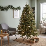  CT0264 BOŽIĆNO DRVCE KAVKASKA SMREKA 200 CM | shoptok.hr