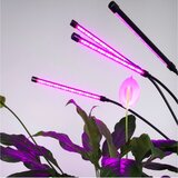  LED prigušiva podna lampa za gajenje biljaka VITARO 4xLED/7,5W/230V crna | Eponuda.com