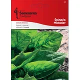 Špinača "Matador" - 10 g