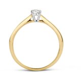 BLUSH zlato 1187BZI-56 | Shoptok.si
