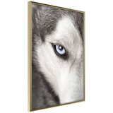  Poster - Azure Eye 30x45 | shoptok.hr