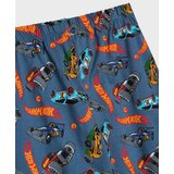 Sinsay Dvodijelna pamučna pidžama Hot Wheels | shoptok.hr
