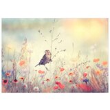  Samoljepljiva foto tapeta - Field Bird 343x245 | shoptok.hr