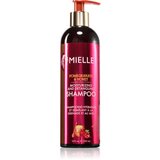 Mielle Pomegranate & Honey hranilni šampon 355 ml | Shoptok.si
