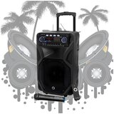 Manta karaoke, 80W, FM, BT, USB, SD, bež mikr, gitara, baterij, crni SPK5021PRO | shoptok.hr