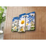 Wallxpert slika na platnu od 3 dela 3NATPAT-23, bele rade na livadi pod plavim nebom, 45 x 66 cm Cene