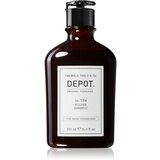Depot No. 104 Silver Shampoo šampon za zaščito barve 250 ml Cene