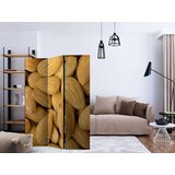  Paravan u 3 dijela - Tasty almonds [Room Dividers] 135x172 | shoptok.hr