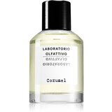 Laboratorio Olfattivo Cozumel parfumska voda za moške 100 ml Cene