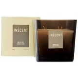 Inscent Dišeča Sveča Green Lily Cene