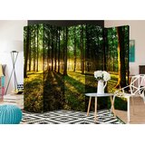 Artgeist PARAVAN 225/172/3 cm rumena, zelena | Shoptok.si