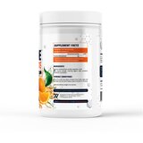 WORKOUT Creatine Monohydrate orange 420g | Eponuda.com