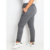 RELEVANCE Sweatpants-RV-DR-4765.52-dark gray | Shoptok.si