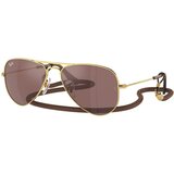 Ray-Ban Junior Aviator Junior RJ9506S 223/6G L (52) Zlata/Rjava Cene