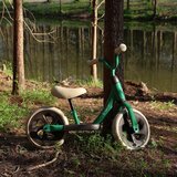Qplay Otroški poganjalec Trainer zelena | Shoptok.si