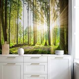  Foto tapeta - Forest Tales 100x70 Vodootporna | shoptok.hr